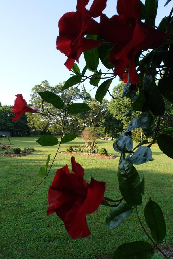 Highpoint Seven Oaks Bed & Breakfast المظهر الخارجي الصورة